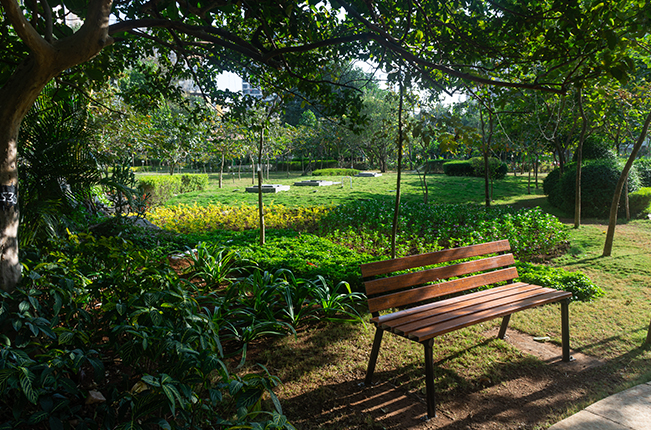 Beyond Expectations Image